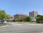大学・短大　私立新潟国際情報大学（大学・短大）まで440m
