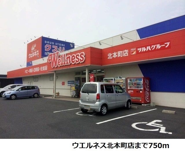 ドラックストア　ウエルネス北本町店（ドラッグストア）まで750m