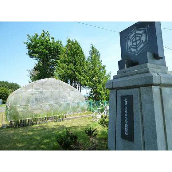 小学校　北見市立東小学校（小学校）まで1748m