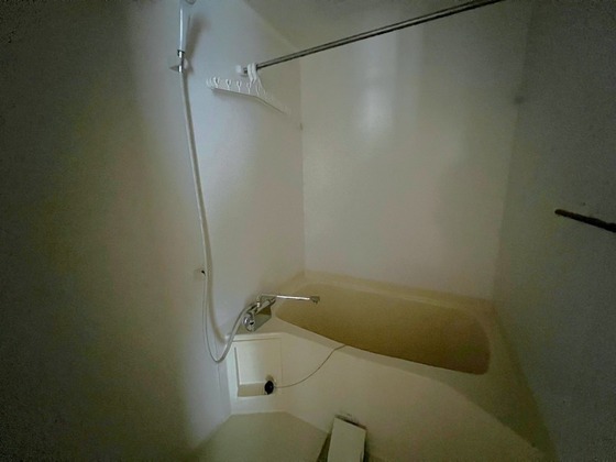 バス・シャワールーム　※他号室の写真です