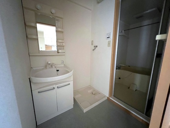 洗面設備　※他号室の写真です