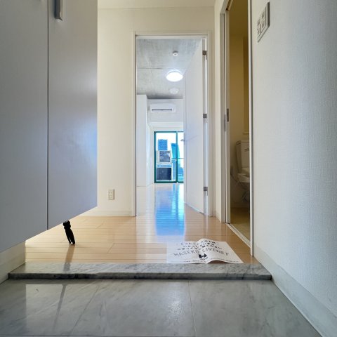 玄関　同仕様タイプです