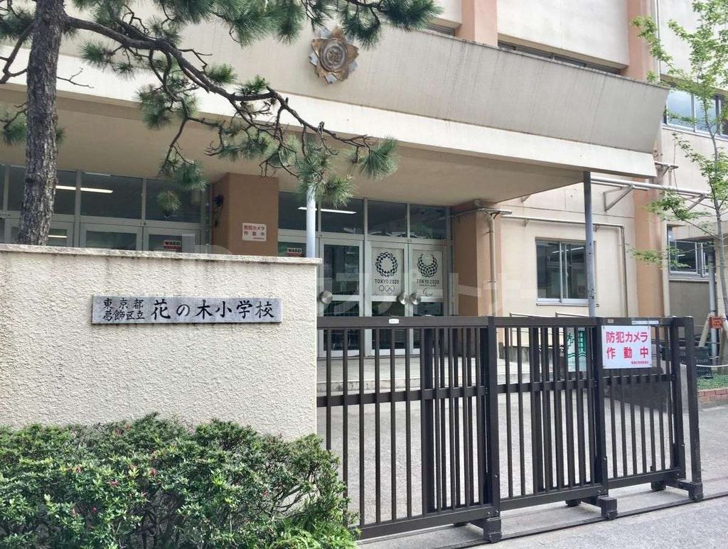小学校　葛飾区立花の木小学校（小学校）まで910m