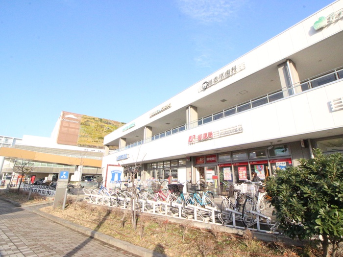 ショッピングセンター　BRANCH 茅ヶ崎（ショッピングセンター）まで803m