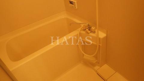 バス・シャワールーム　同物件別部屋です。