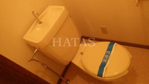 トイレ　同物件別部屋です。