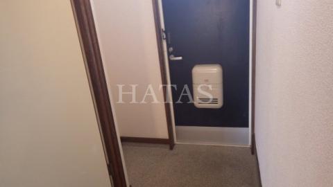 玄関　同物件別部屋です。