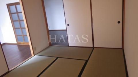 居室・リビング　同物件別部屋です。