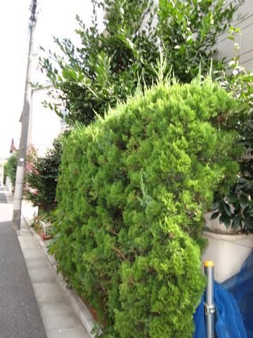 その他共有部分　★植栽★