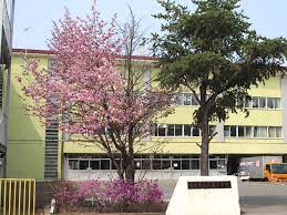 小学校　市立若葉小学校（小学校）まで508m