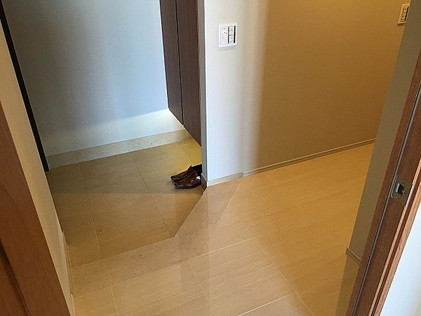 玄関　※別部屋の参考写真です。