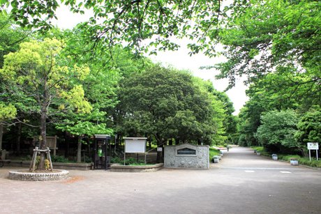 公園　市民の森 見沼グリーンセンター（公園）まで398m