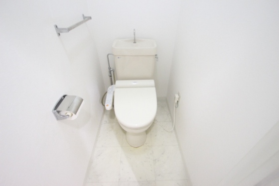 トイレ　※別号室の写真です