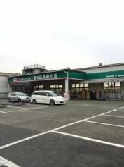 ドラックストア　ドラッグセイムス前川2丁目店（ドラッグストア）まで867m