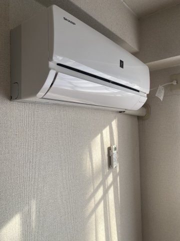 パレットのその他写真