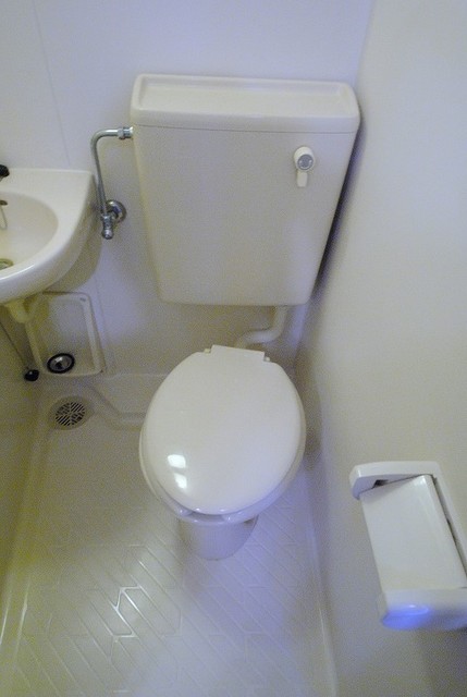 トイレ　写真は２０５号室