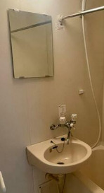 洗面設備　※別部屋の参考写真です。