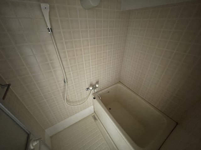 バス・シャワールーム　ARCADIA INN（アルカディアイン）　浴室