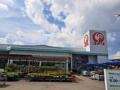ホームセンター　コメリ常北店（ホームセンター）まで310m