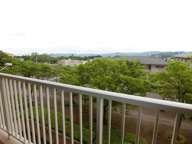眺望　バルコニーからの眺望（２０２５年６月撮影）