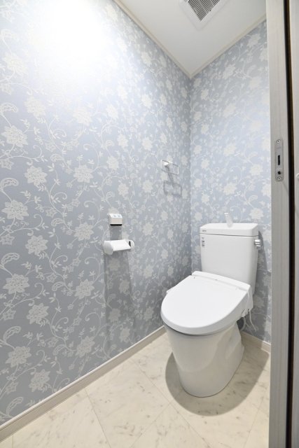 トイレ　トイレも気になるポイント