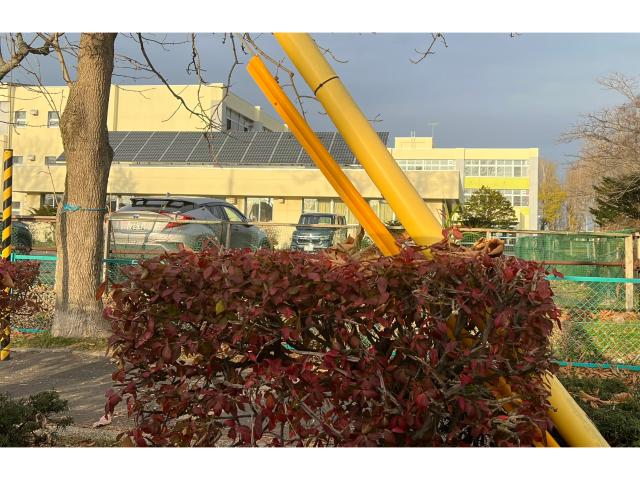 小学校　釧路市立昭和小学校（小学校）まで559m