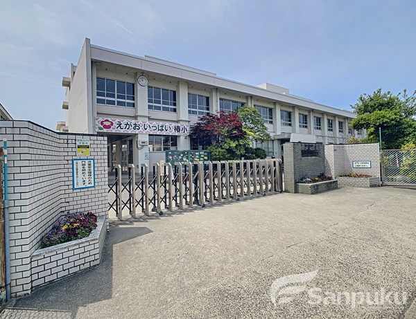 小学校　椿小学校（小学校）まで1003m