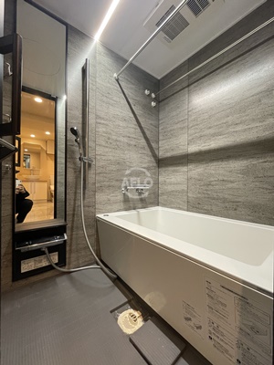 バス・シャワールーム　エスライズ難波III　風呂