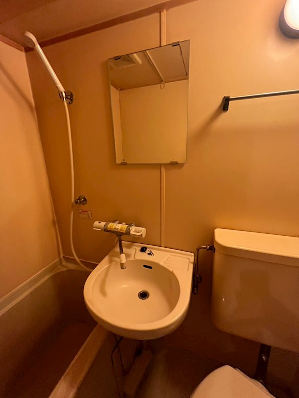 洗面設備　独立洗面化粧台付き