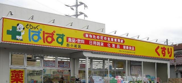 ドラックストア　ぱぱす（ドラッグストア）まで808m