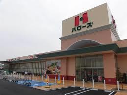 スーパー　ハローズ十日市店（スーパー）まで548m