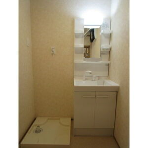 その他　独立洗面所・室内洗濯機置き場