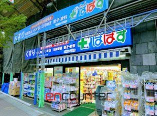 ドラックストア　どらっぐぱぱす小石川1丁目店（ドラッグストア）まで250m