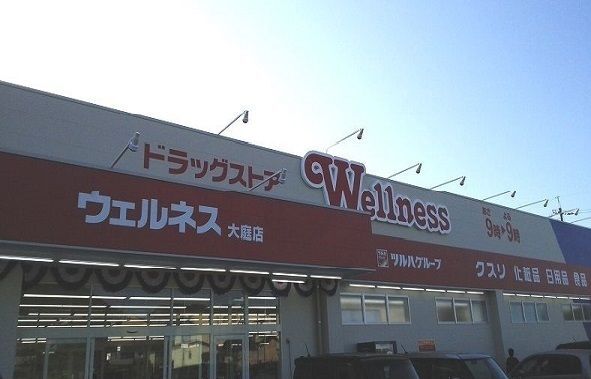 ドラックストア　ウェルネス大庭店（ドラッグストア）まで1000m