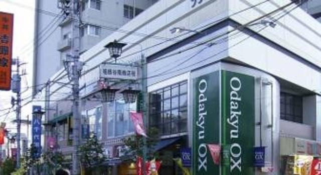 スーパー　OdakyuOX祖師谷店（スーパー）まで1318m