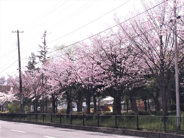 公園　貝ヶ森中央公園（公園）まで800m