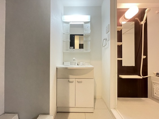 洗面設備　※別号室の写真です