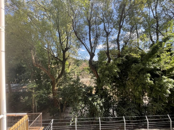 眺望　※別号室の写真です