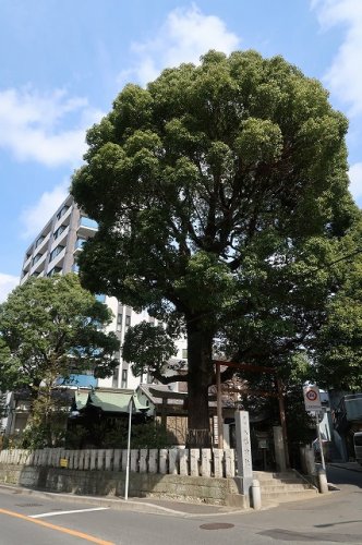 その他　八幡神社 (千葉県市川市)（その他）まで374m