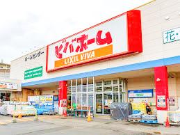 ホームセンター　ビバホーム平岸店（ホームセンター）まで456m