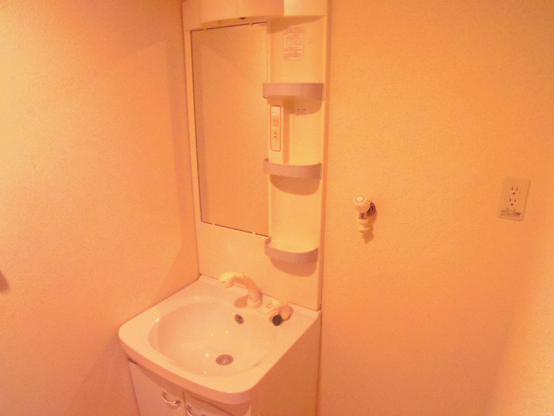 その他設備　シャワー付き洗面化粧台