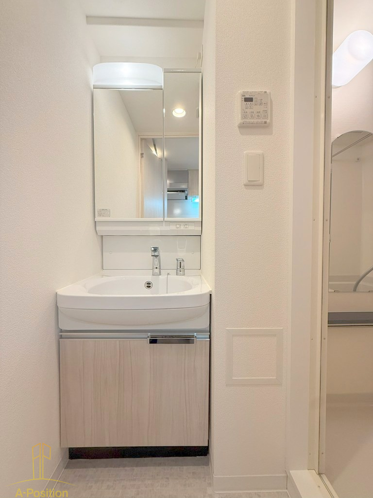 洗面設備　プレサンス難波フィールド