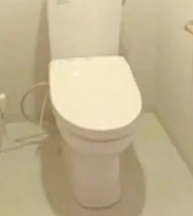 トイレ　別タイプ部屋　参考写真です