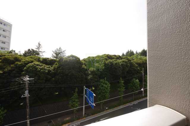 眺望　ガリシア駒込