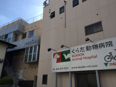病院　くらた動物病院（病院）まで241m