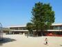 幼稚園・保育園　認定こども園とみせ幼稚園（幼稚園・保育園）まで939m