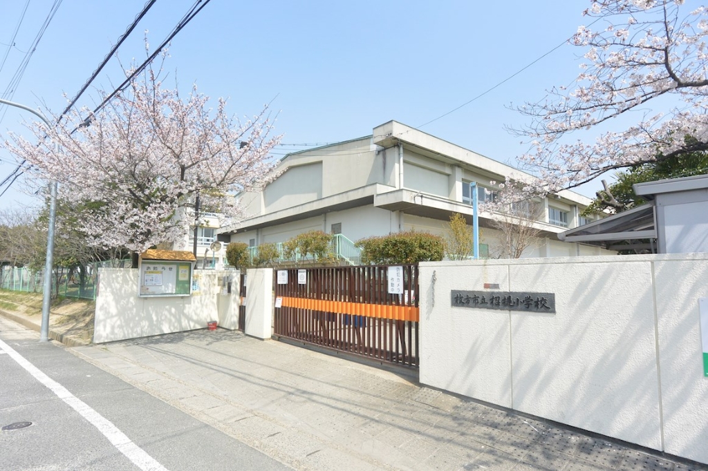 小学校　枚方市立招提小学校（小学校）まで745m