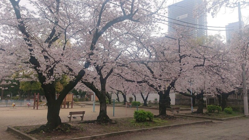 公園　浦江公園（公園）まで534m