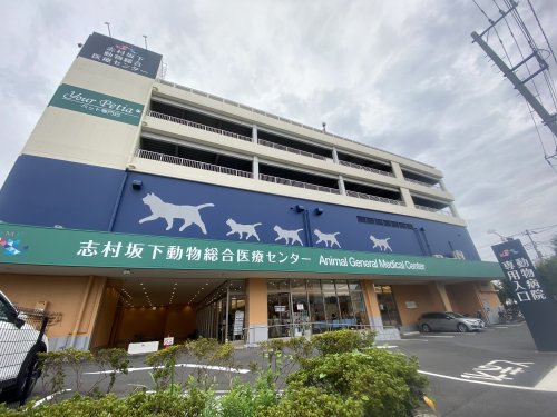 病院　志村坂下動物総合医療センター（病院）まで1310m