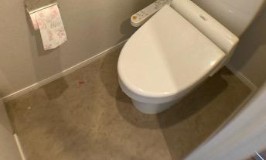 トイレ　落ち着いたトイレです